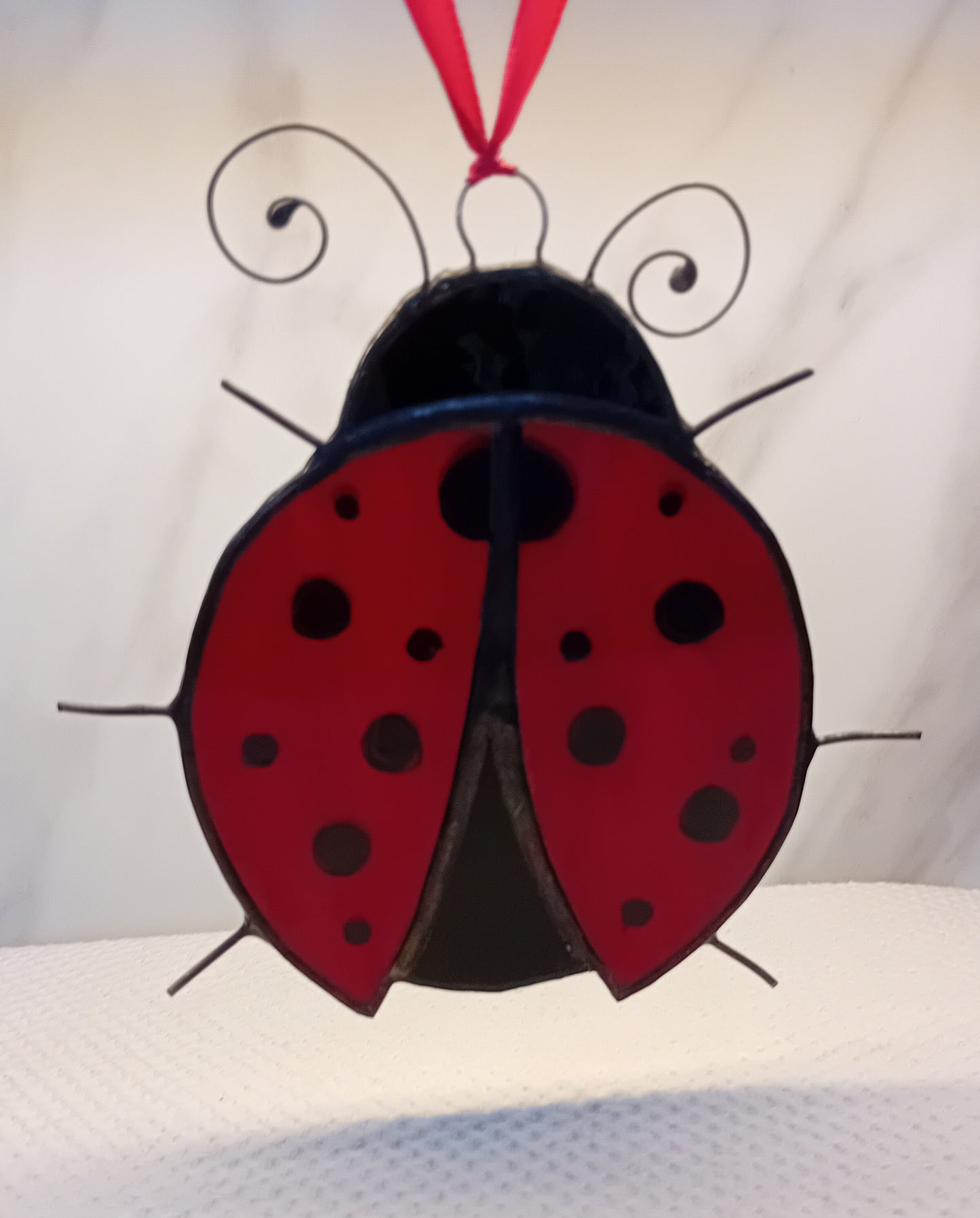 Large ladybird