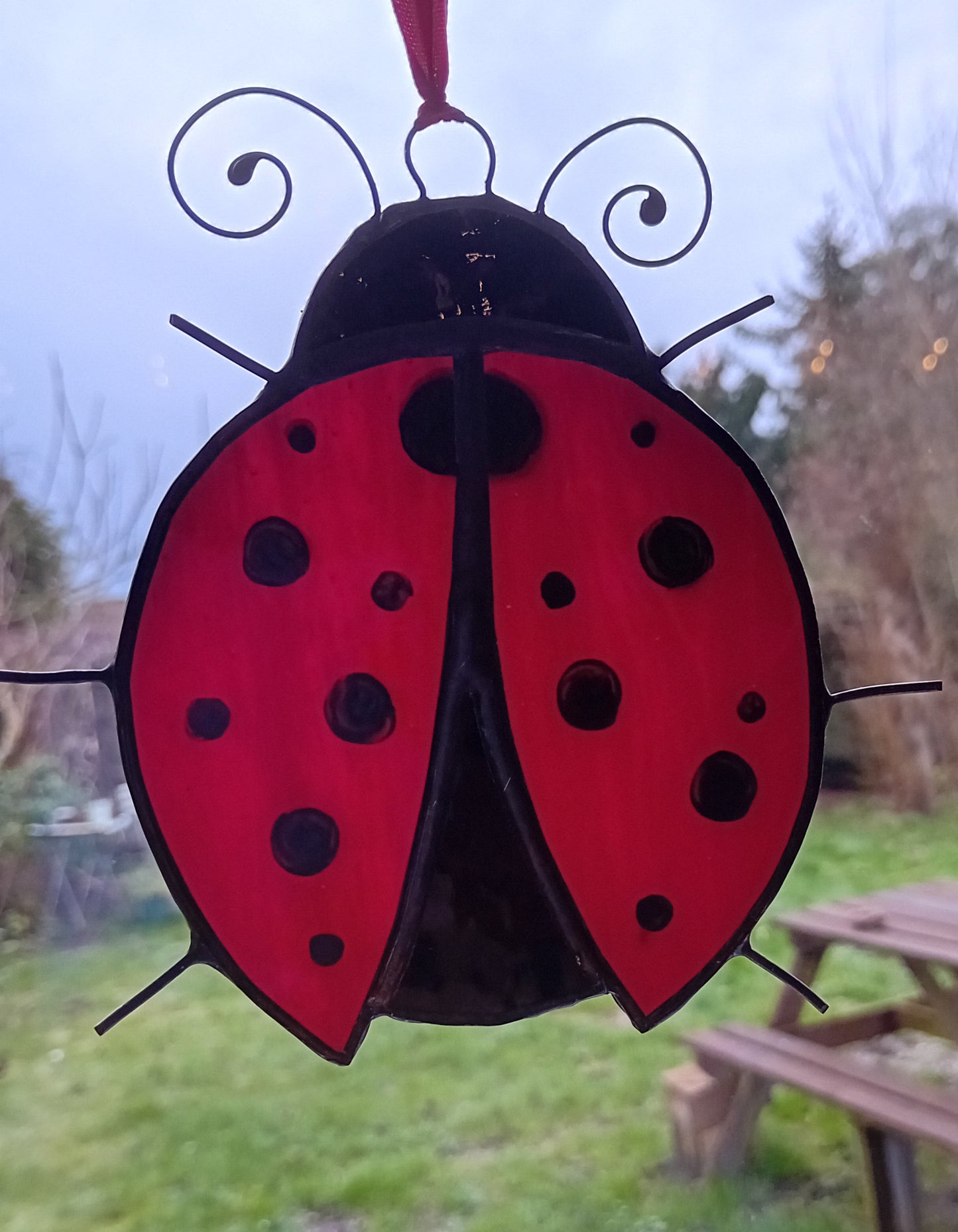 Large ladybird